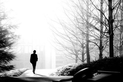 Person taking a short walk under trees between meetings