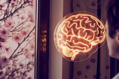 Brain circuits showing threat and regulation loops