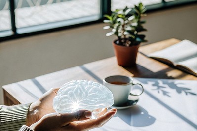 Neuro-PrimesTM for High Performers: Daily Shifts That Rewire Your Brain for Clarity and Resilience