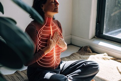 Vagus nerve pathway and somatic drills
