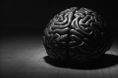 Rewiring resilience: How practical neuroscience turns stress into growth
