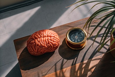 Two-dial model of confidence with brain regions