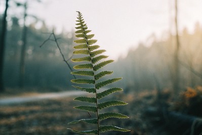 Rewiring Your Inner Story: The Neuroscience of Confidence and Resilience