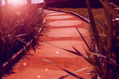 Footpaths forming a new trail through grass