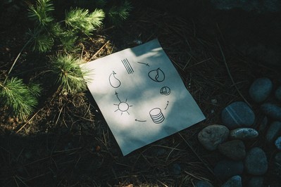 Advanced Practical Guides to Herbal Detoxification: Systems, Sequencing, and Clinical Precision