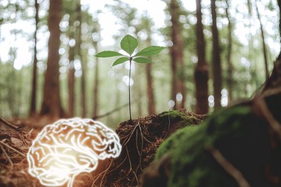 How Small Daily Habits Spark Self-Directed Neurogenesis and Transform the Mind