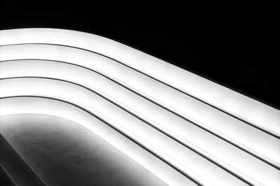 dopamine balance curve