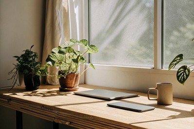 restorative desk setup with plants and window