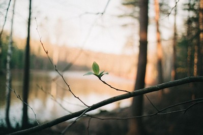 Rewiring Your Inner Narrative: Understanding and Cultivating Self-Belief in Daily Life