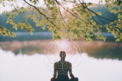 nervous system balance illustration