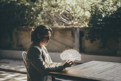 From Neuroplasticity to Intuitive Mastery: Practical Neuroscience for Sharper Thinking and Decisions