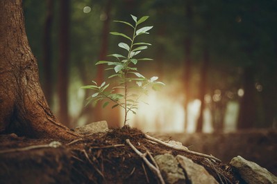 From Adversity to Achievement: Unlocking Resilience and Purpose Through Mindset Mastery