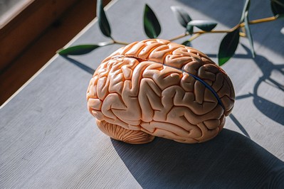 Illustration of brain systems that shape self-belief