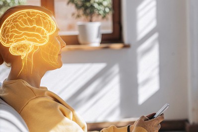 Brain regions involved in confidence and stress