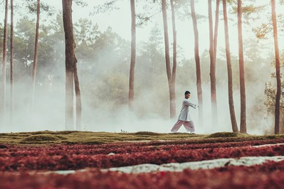 Mindful movement for meaningful success: Transforming stress into clarity and authentic fulfillment
