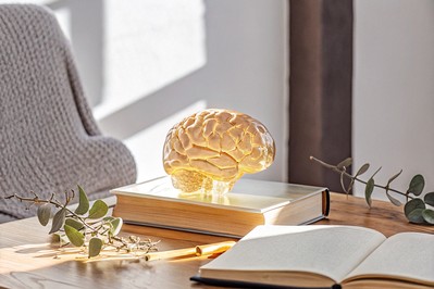 Rewiring the Self: How Neuroplasticity Fuels Personal Transformation