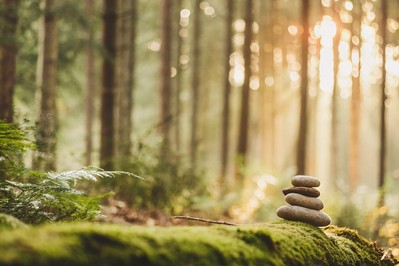 Clarity in Action: Mindfulness as the Key to Powerful Choices in Business and Sports
