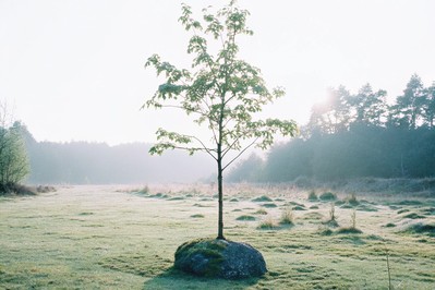 Neuroplasticity and the Power of Self-Belief: How Your Brain Builds Confidence From Within