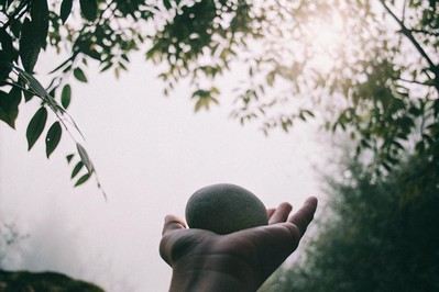 Transforming Your Self-Talk: How Neuroscience Fuels Confidence and Growth