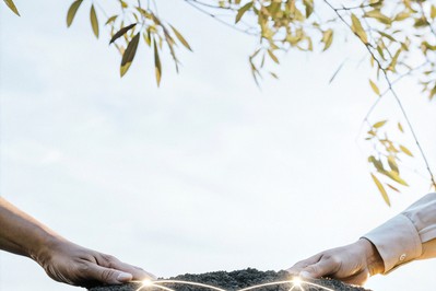 Hands turning rich soil with faint neural pathways overlay