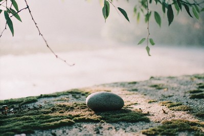 Unlocking Self-Belief: The Neuroscience of Confidence and Transforming Your Inner Voice