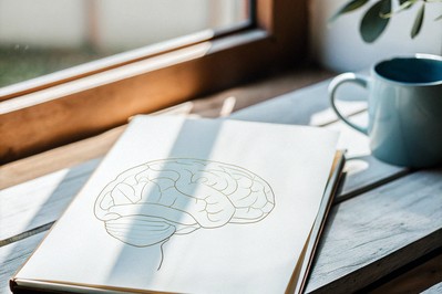 MPFC highlighted on a simple brain sketch