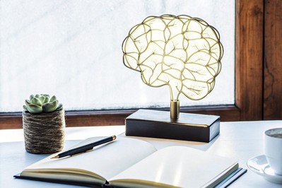 Micro-habits, Macro Change: How Daily Neuro-PrimesTM Shape Cognitive Resilience