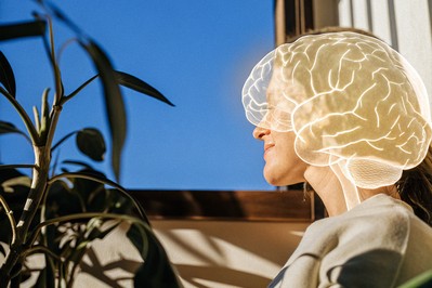 Brain regions for valuation and self-reference