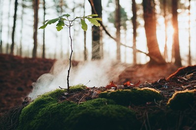 Transforming Adversity: How Mindful Coaching Turns Setbacks into Strength and Lasting Purpose