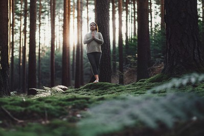 Mindful Movement: How to Align Ambition with Authentic Fulfillment for Lasting Wellness