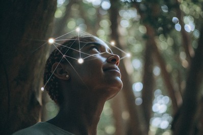 Integrating Minds: Practical Neuroscience for Enhanced Brain Connectivity and Smarter Decisions