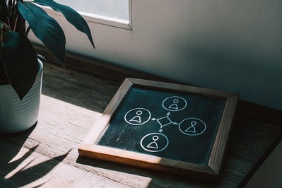 Diagram of stress inputs and nervous system regulation