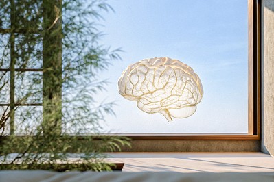 Intertwined motor and autonomic brain networks