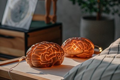 Illustration of prefrontal-limbic brain circuits with gentle waves