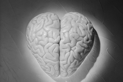 The Neurobiology of Grief: Insights for Emotional Healing and Renewal