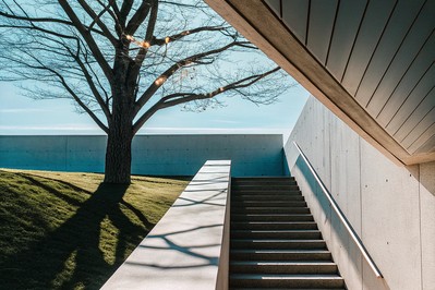 Tree across four seasons next to a rigid staircase silhouette