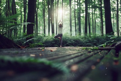 Purposeful Success: Aligning Ambition with Authentic Fulfillment