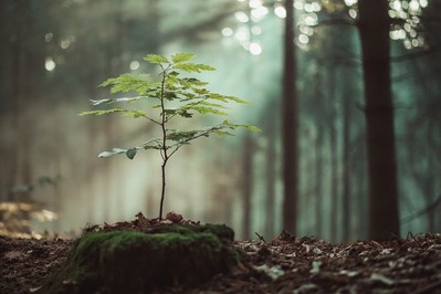 From Ambition to Alignment: A Step-by-Step Guide to Building Success That Feels Truly Fulfilling