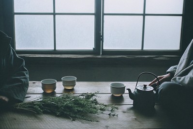 Healing in Motion: Rediscovering Health Through Herbal Medicine and Natural Treatments