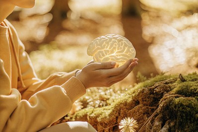 Wired for Change: The Neurobiology of How We Adapt and Evolve Through Life's Transitions