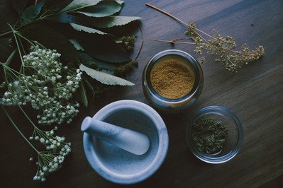 Advanced Herbal Immunomodulation: Practical Science-Backed Strategies for Resilient Health