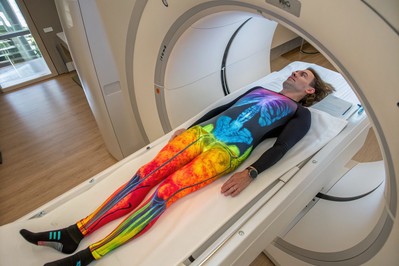 DEXA sken u lažnim bojama