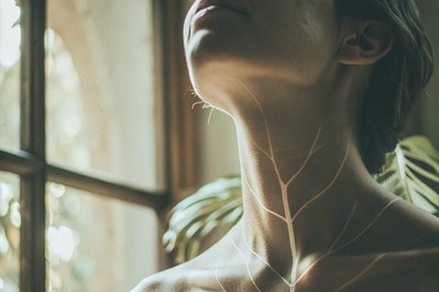 Vagus Nerve Innovations: Applied Neuroscience for Neuroregeneration and Lifelong Cognitive Vitality