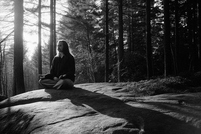 NeuroAlchemy Insights: Transforming Stress Into Personal Growth