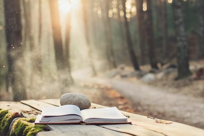 Living by Design: A Personal Journey into Self-Directed Neurogenesis