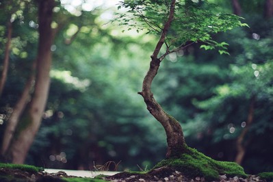 Transforming Adversity: How Mindset Coaching Turns Life’s Challenges into Lasting Strength