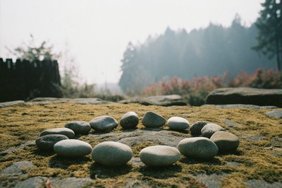 Prefrontal-amygdala stress brakes diagram