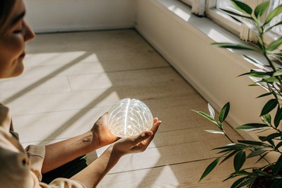Rewiring Health: The Science of Neuroplasticity and the Power of Thought