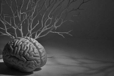 How Grief Rewires the Brain: A Neurobiological Guide to Emotional Recovery and Growth