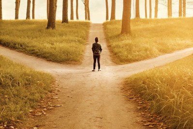 Beyond Survival: The Neurobiology and Psychology of Personal Transition States